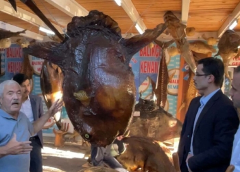Türkiye Deniz Canlıları Müzesi'ne ziyaretçi akını