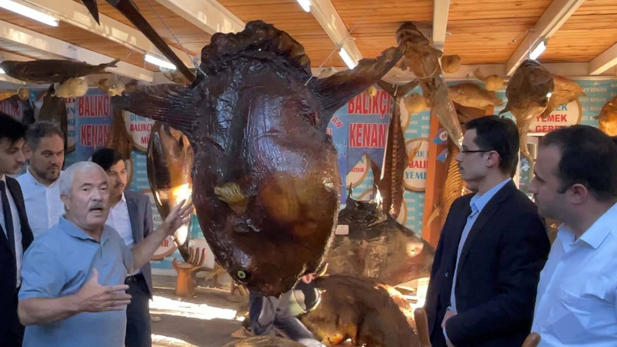 Türkiye Deniz Canlıları Müzesi'ne ziyaretçi akını