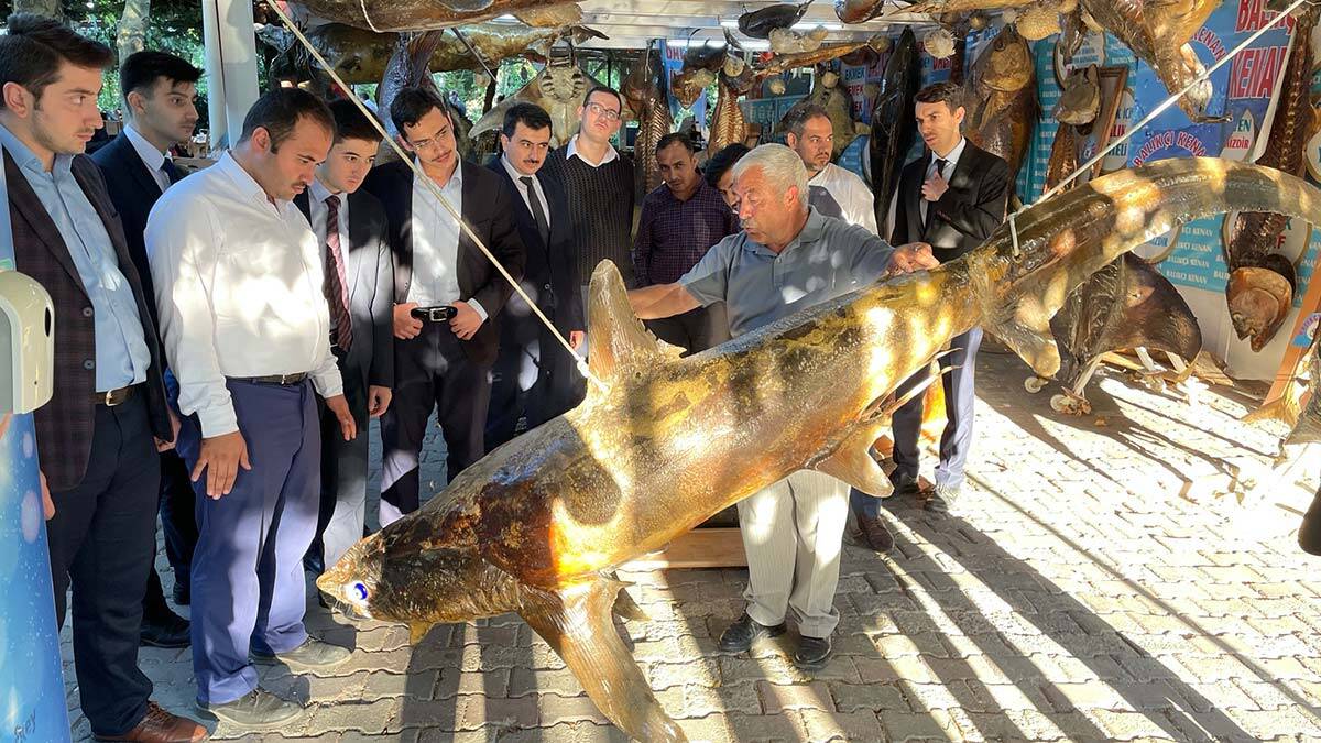 Türkiye Deniz Canlıları Müzesi'ne ziyaretçi akını