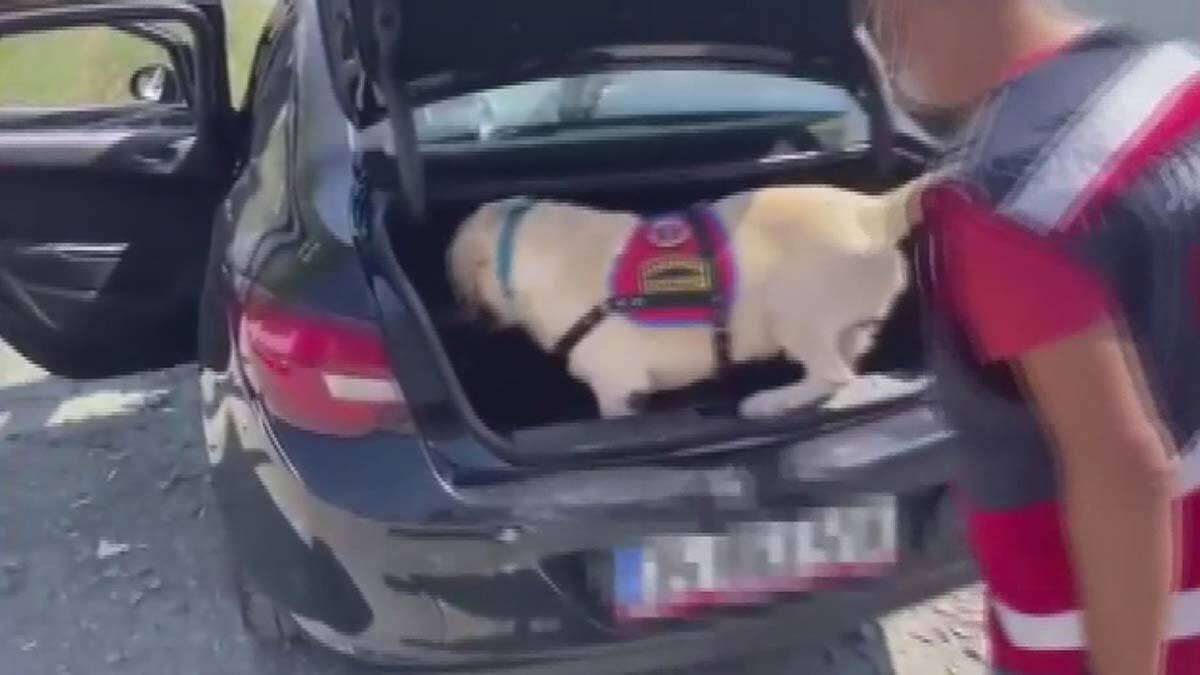 Solunum cihazında 65 kilo eroin çıktı