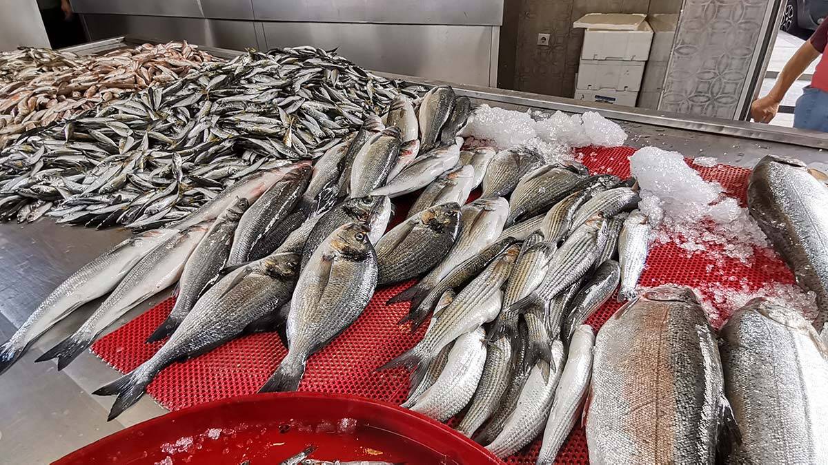 Karadeniz'de istavrit bereketi; fiyatı yarıya düştü