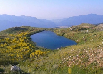 Kartal Gölü kuraklık nedeniyle can çekişiyor