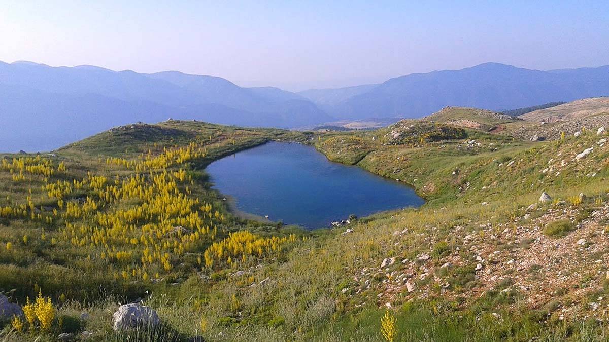 Kartal Gölü kuraklık nedeniyle can çekişiyor