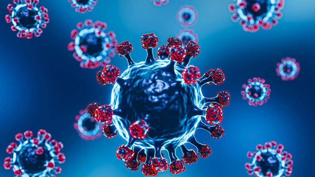 Son 24 saatte koronavirüsten 243 kişi hayatını kaybetti