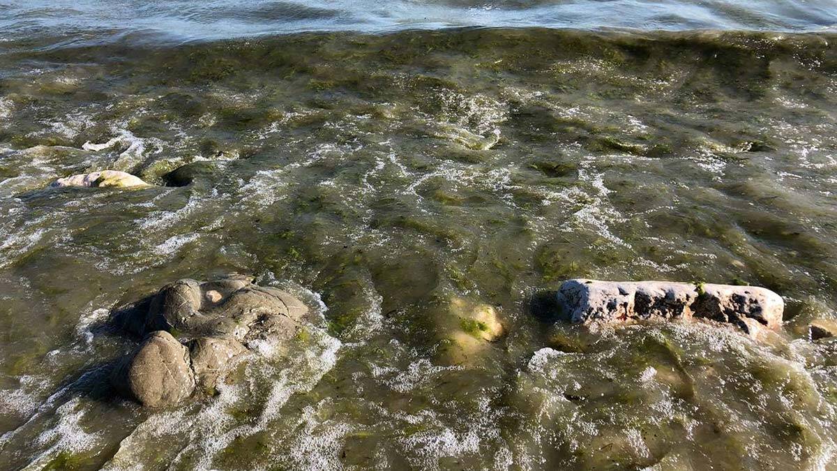 Eğirdir Gölü'ne döşenmiş lağım boruları patladı