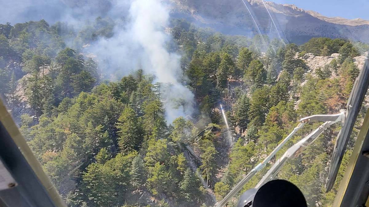 Manavgat'ta orman yangını