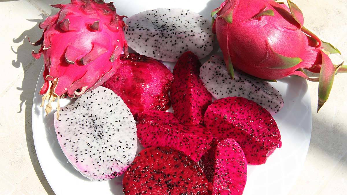 Ejder meyvesinin tanesi 25- 30 lira