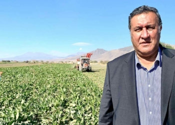 Gürer: Kayıp su oranı yüzde 37
