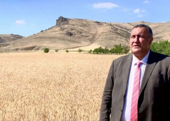 Gürer: Toplulaştırmada sorunlar var