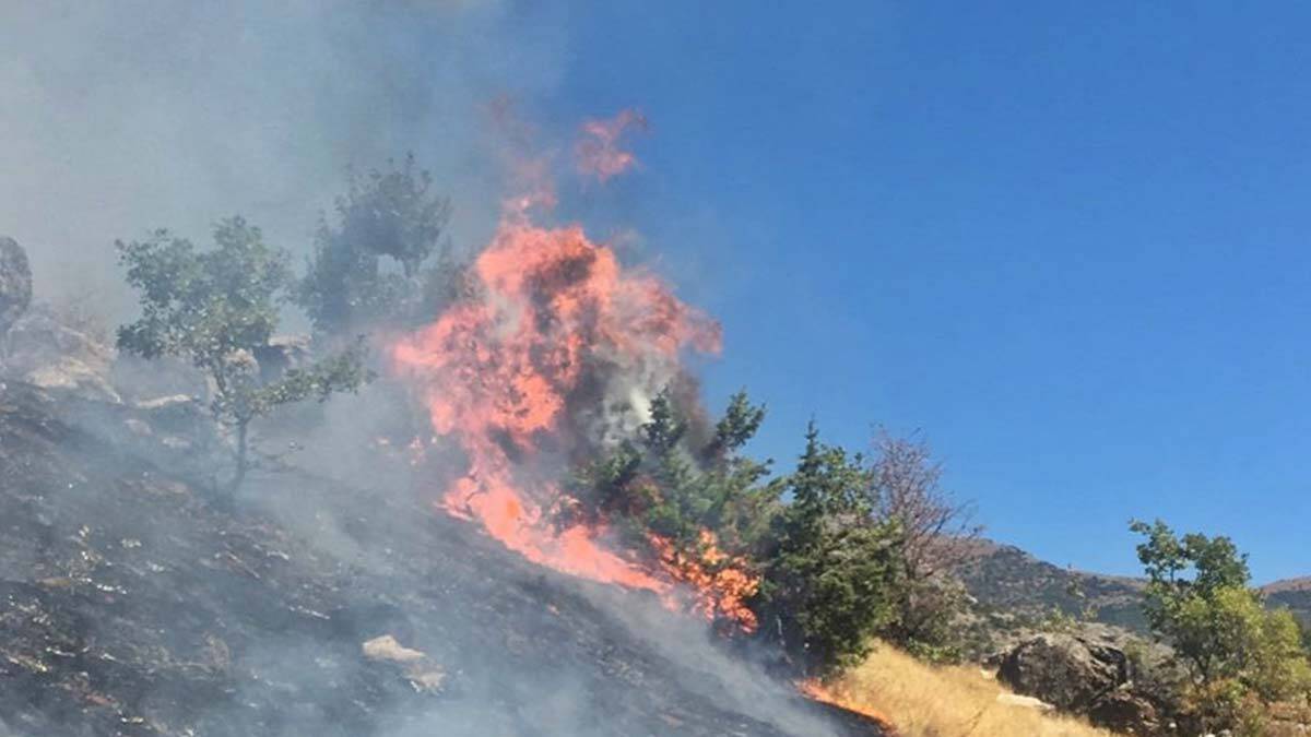 Örtü yangını ekiplerin müdahalesiyle söndürüldü