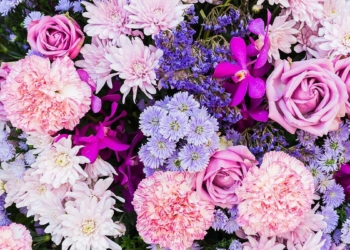 Çiçekler ile konuştuk diye deli sandılar