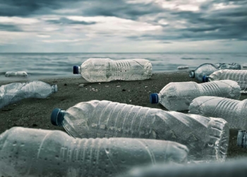 İnsanın doğa üzerindeki etkisi nedir?