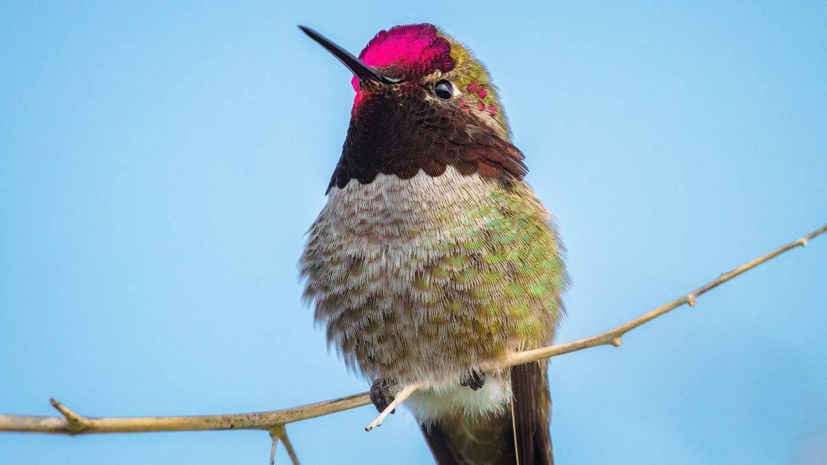 60 saniyede Dünya'da neler yaşanıyor hiç merak ettiniz mi? Kaç defa göz kırpıyoruz? Sinekkuşu kaç defa kanat çırpıyor? Sosyal medyada ne kadar zaman geçiriyoruz?