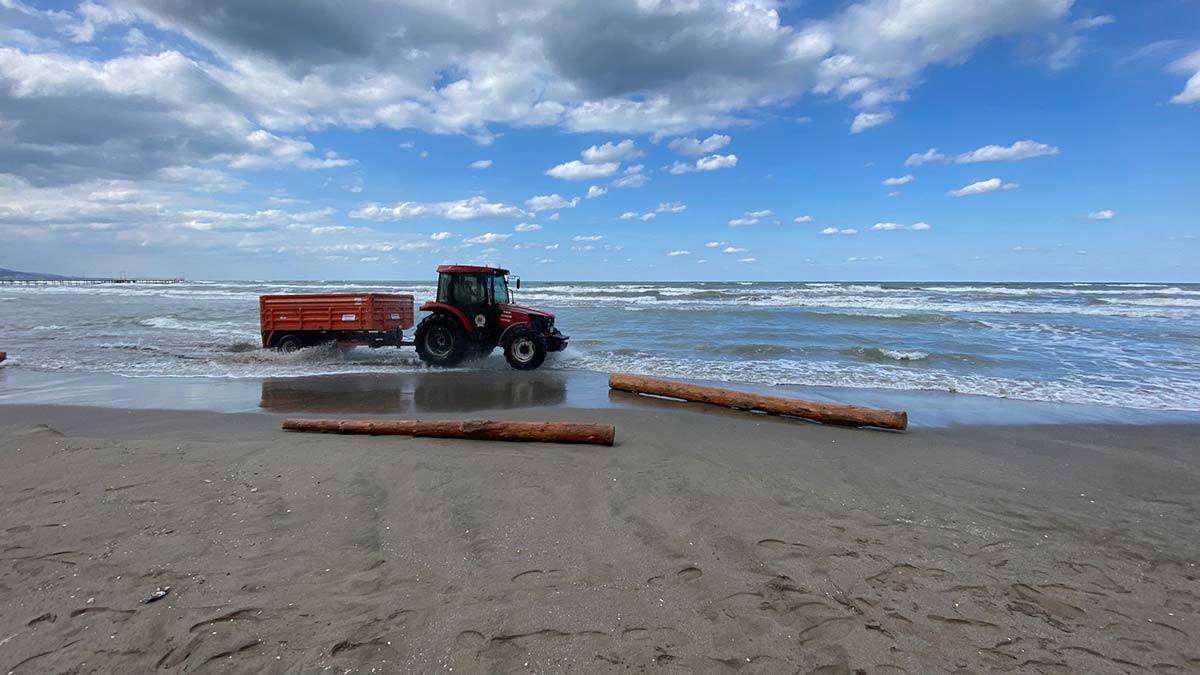 Selde sürüklenen tomruklar, Karadeniz'e yayılıyor