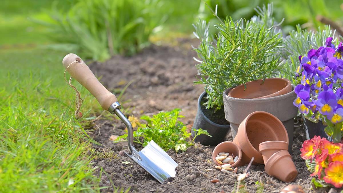 Saklanmış mutluluk!