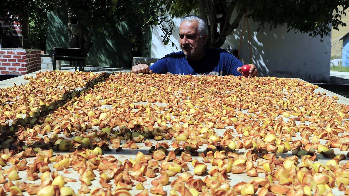 Kuraklığa rağmen tonlarca elma yetiştirdi