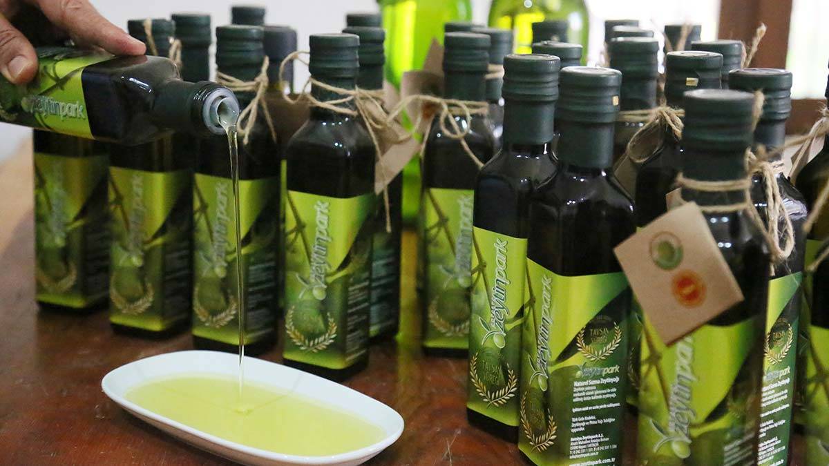 Antalya'ya özgü tavşan yüreği zeytininden elde edilen zeytinyağı, İspanya Cordoba Üniversitesi'nde tahlil ettirildi.