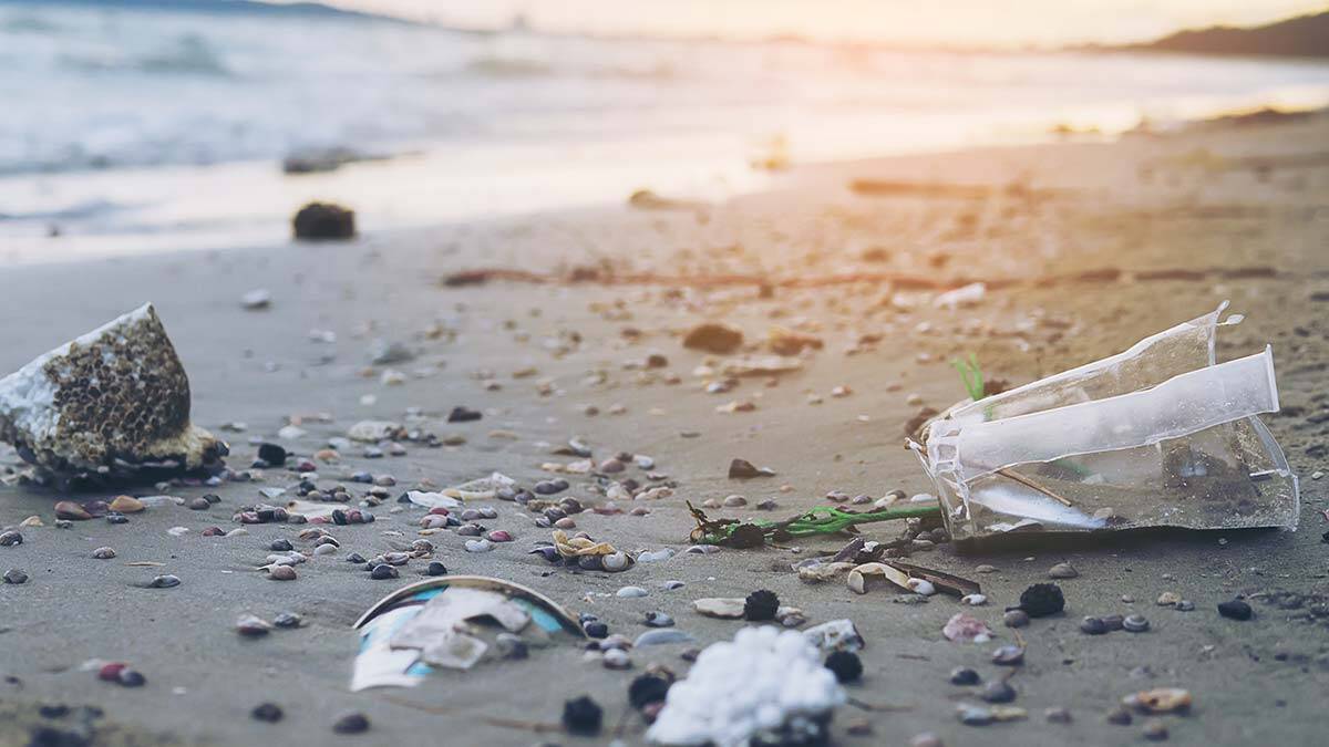 İnsanın doğa üzerindeki etkisi nedir?