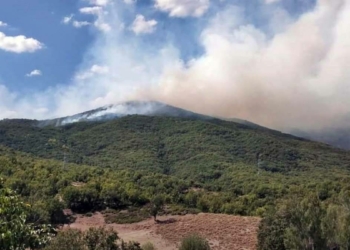 Tunceli'de örtü yangını çıktı