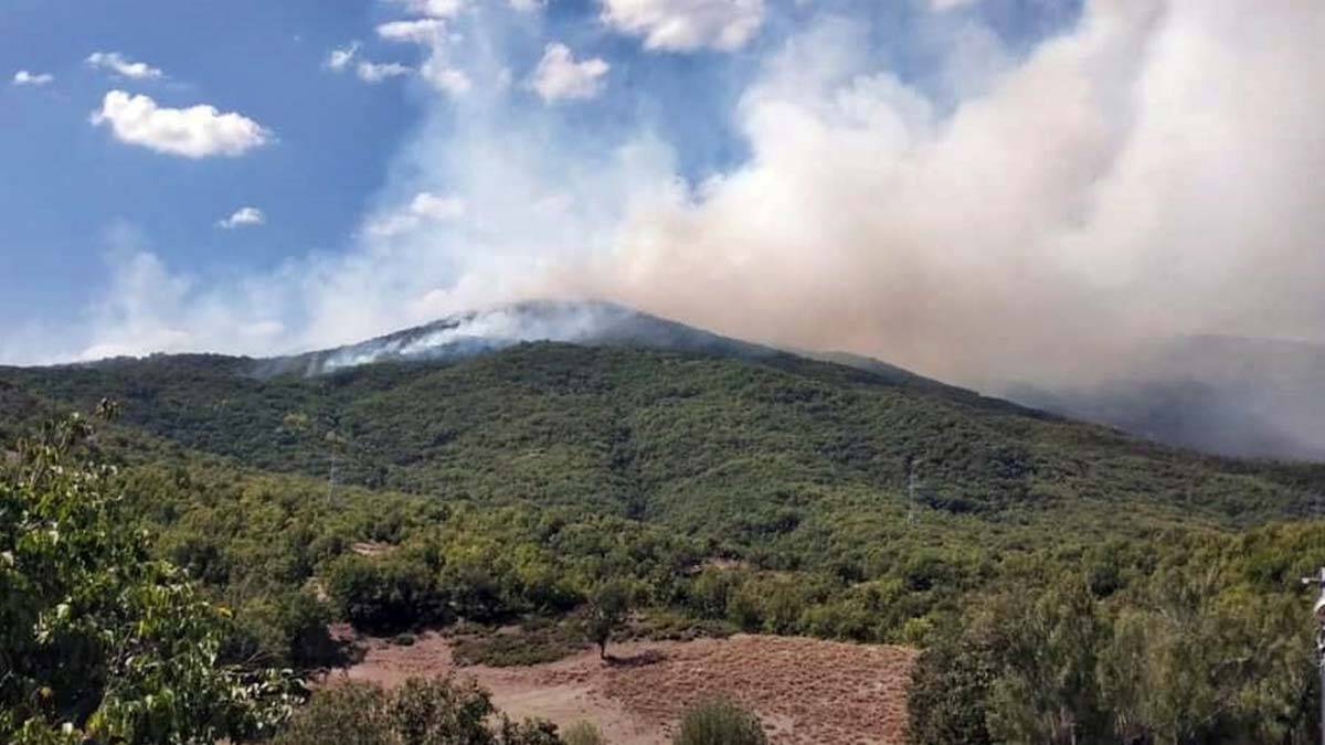 Tunceli'de örtü yangını çıktı