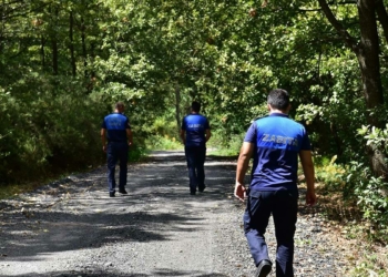 Tuzla'da ormanlık alanlar 7 gün 24 saat denetleniyor