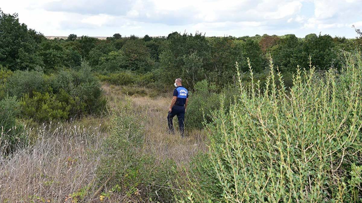 Tuzla'da ormanlık alanlar 7 gün 24 saat denetleniyor