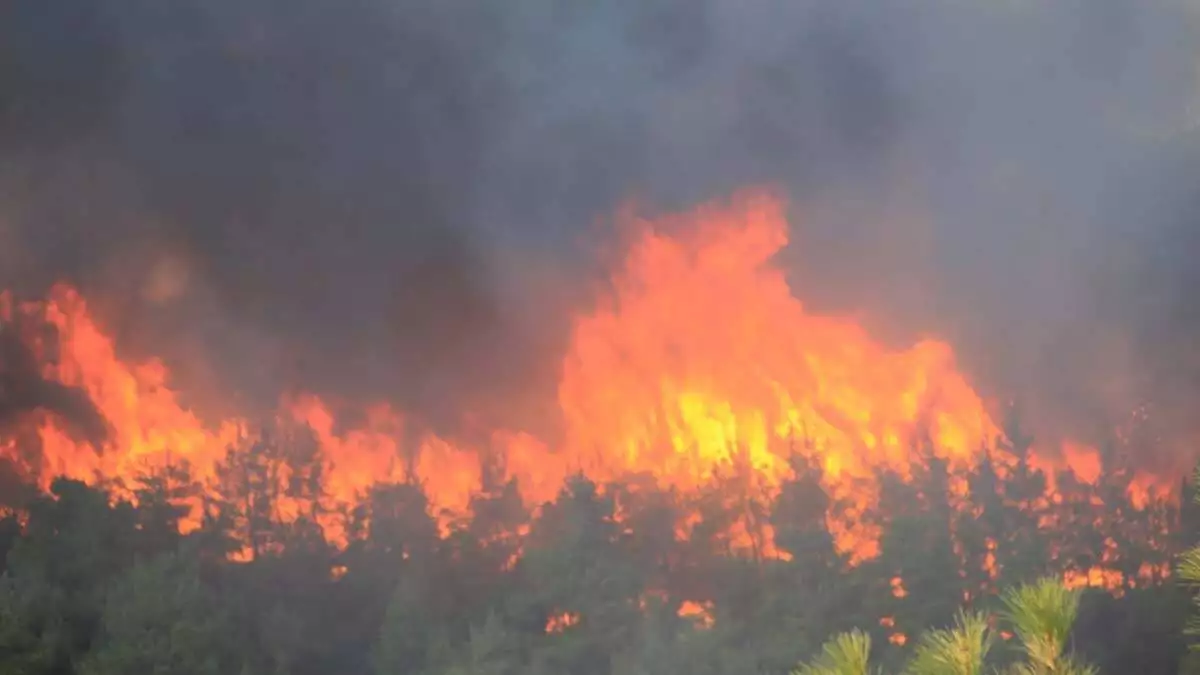 Orman yangını risk haritası çıkarılsın önerisi