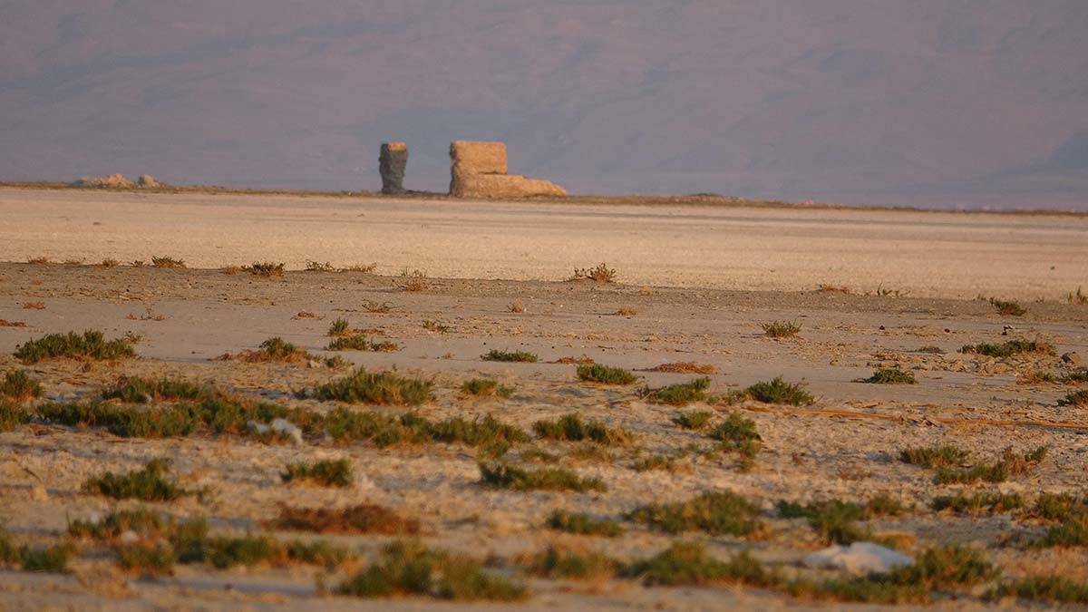 Van Gölü havzasında kuşlar kuraklık nedeniyle göç etti