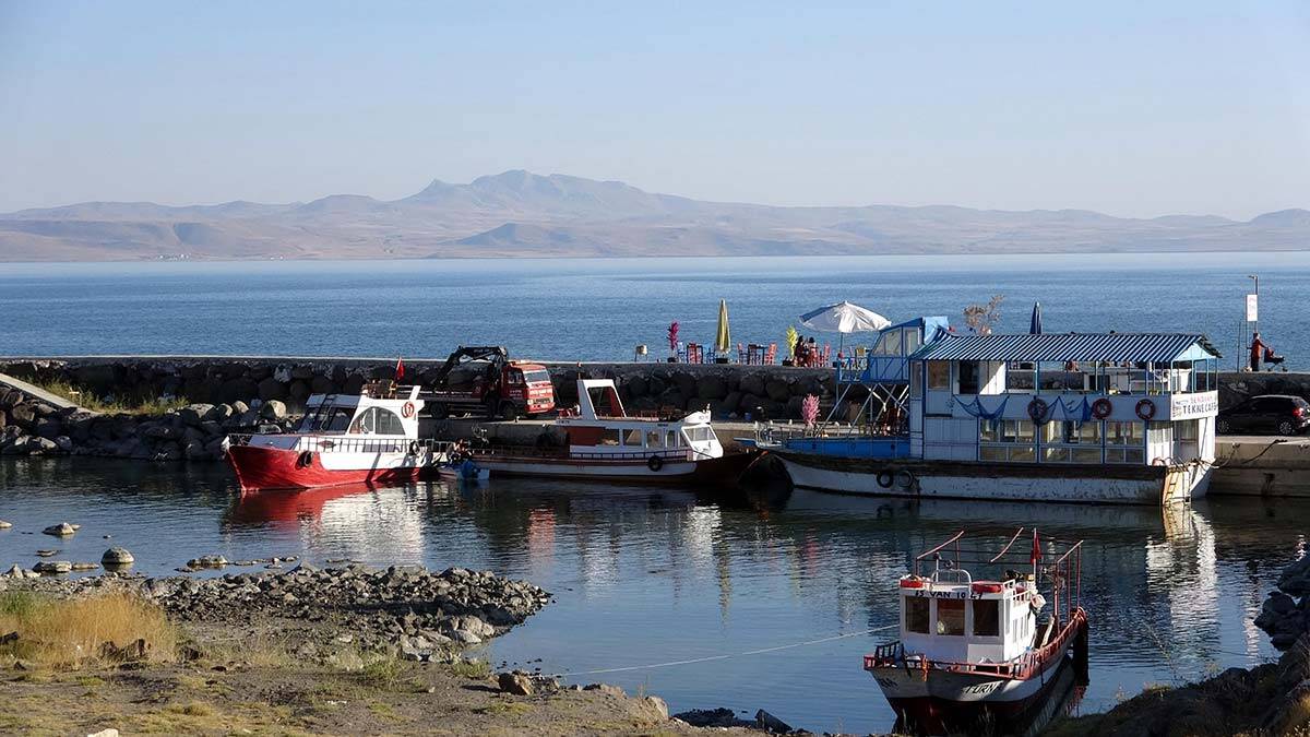 Van Gölü'nde inci kefali popülasyonunda artış
