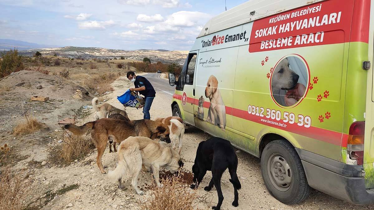 Sokak Hayvanlarını Besleme Timi iş başında