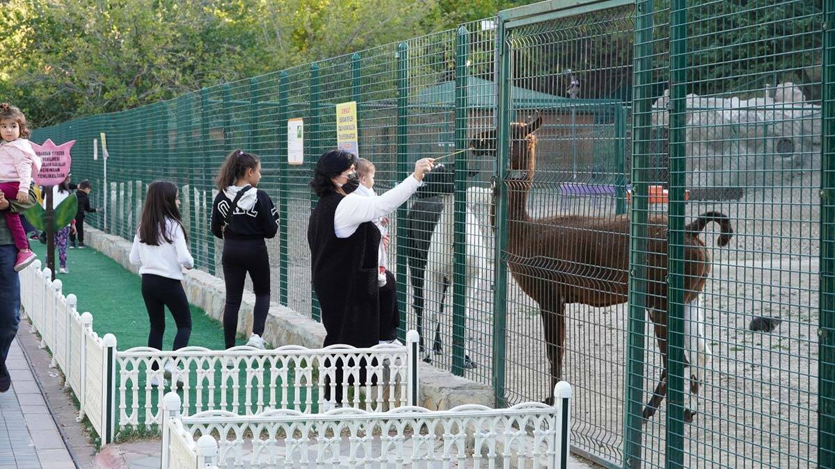 Keçiören Belediyesi Doğal Yaşam Parkı'na akın ettiler