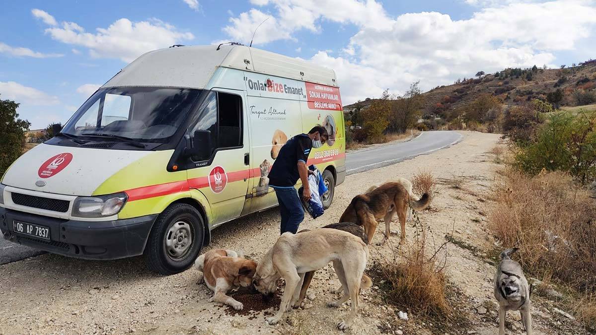 Sokak Hayvanlarını Besleme Timi iş başında