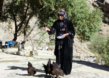 117 yaşında koronavirüsü yendi
