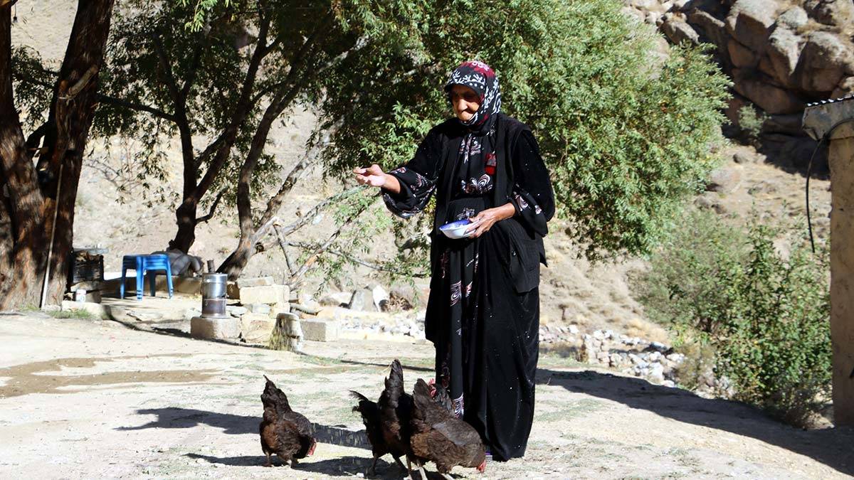 117 yaşında koronavirüsü yendi