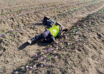 2021 Dünya Mirasları Foto Safari Safranbolu'da yapıldı