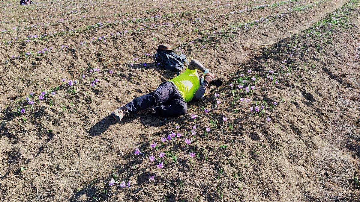 2021 Dünya Mirasları Foto Safari Safranbolu'da yapıldı