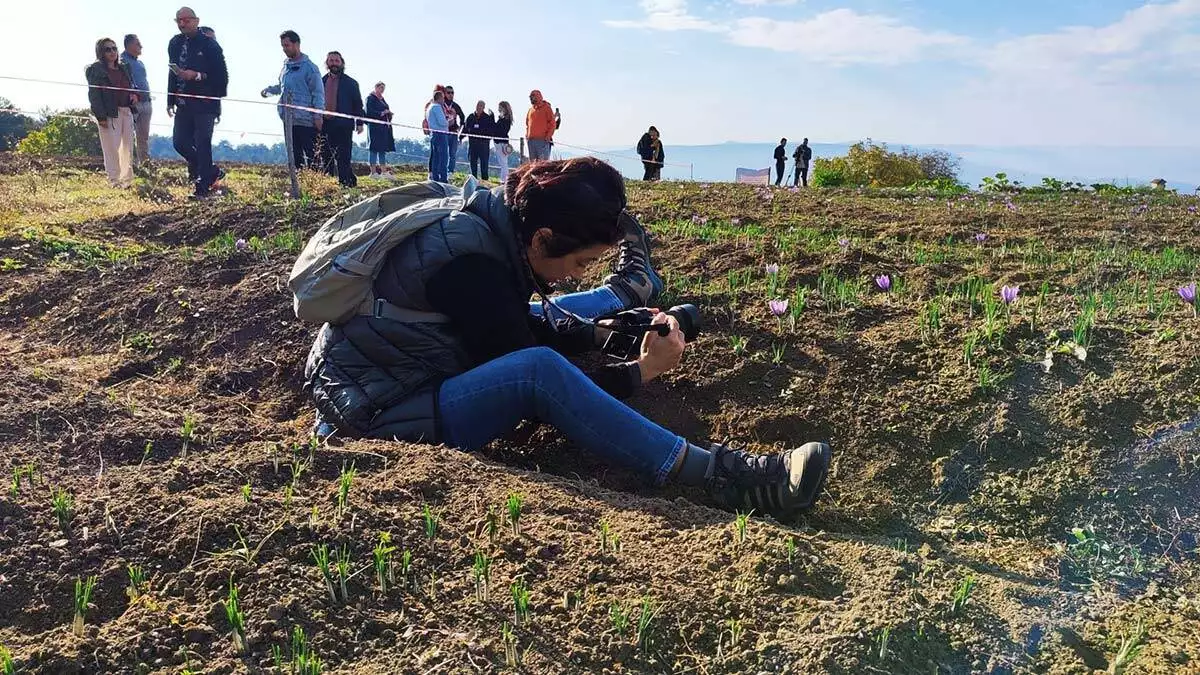 2021 dunya miraslari foto safari safranboluda yapildi 2 - kültür ve sanat - haberton