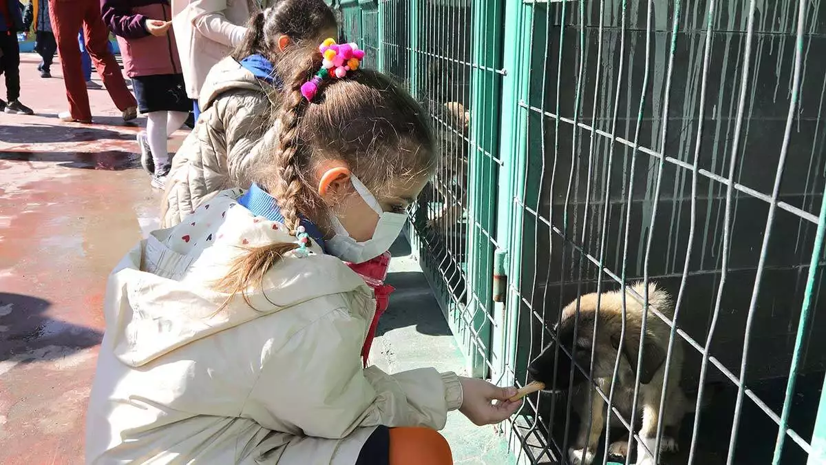 Hayvanları koruma günü’nde sevgi dolu buluşma