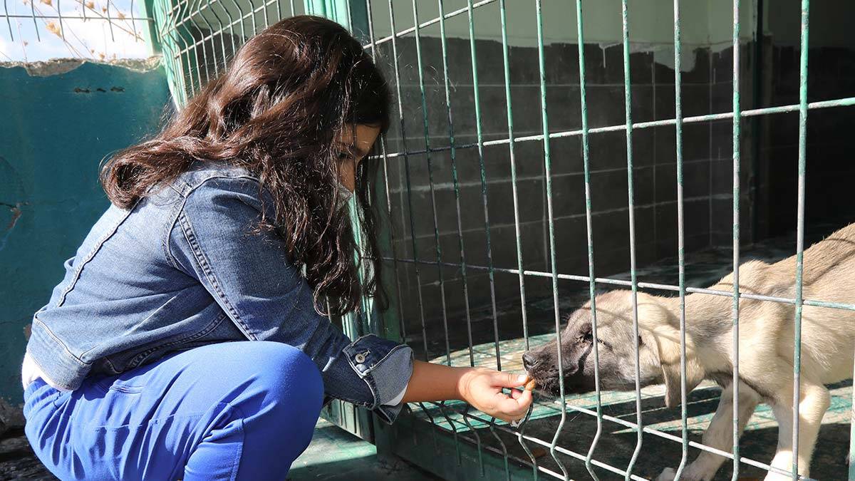 Hayvanları Koruma Günü’nde sevgi dolu buluşma