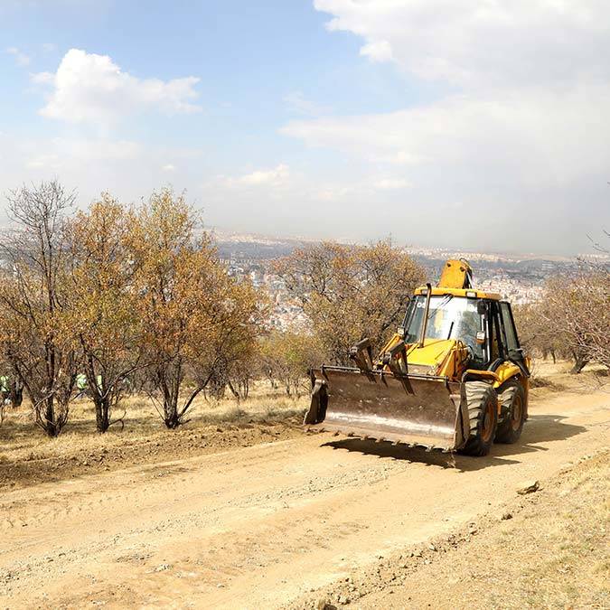 Bademlidere Kent Ormanı'na 20 bin ağaç
