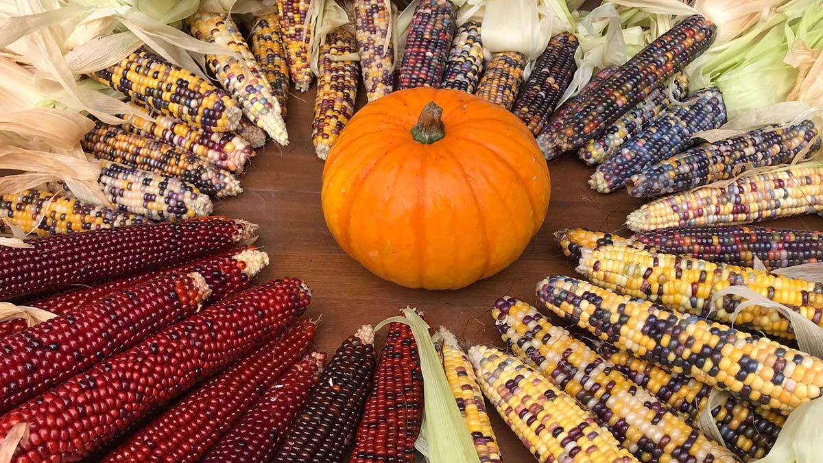 2022'nin tohumları hazırlanıyor