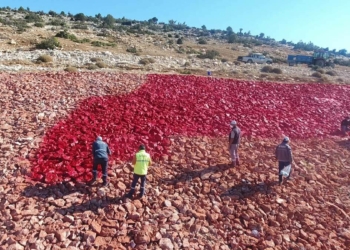 22 dönümlük zemine işlenen Türk bayrağı boyanıyor