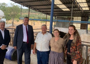 Gürer: Besicilik sizlere ömür!