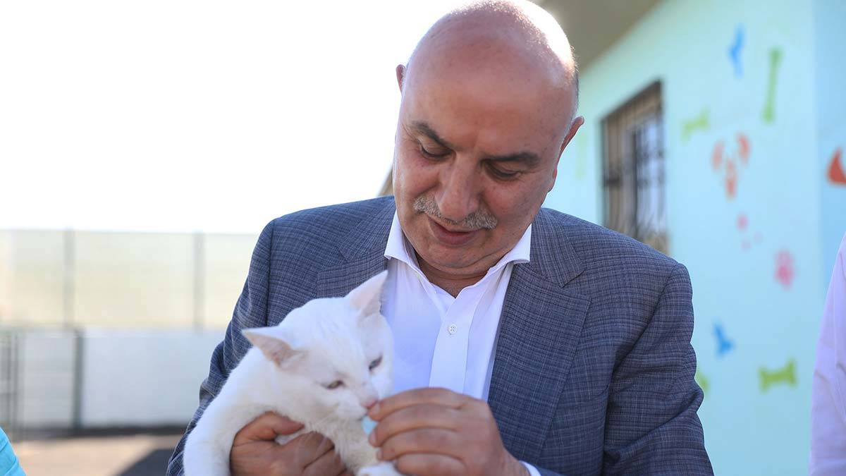 Keçiören Belediyesi 8 bin 376 sokak canlısını tedavi etti