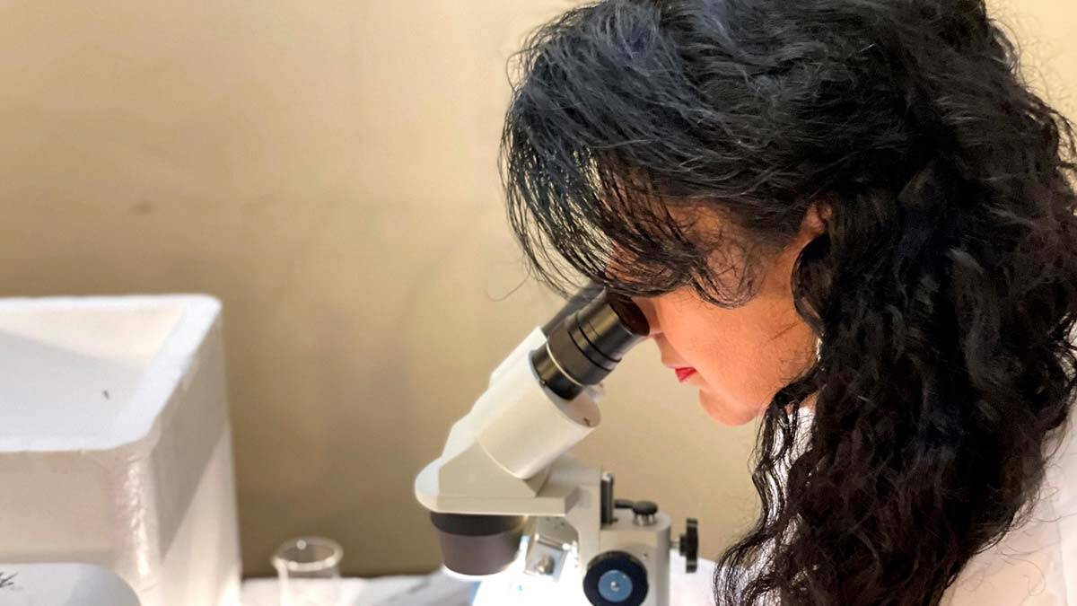 ABD'li araştırma şirketinin T-blokları Türkiye'de