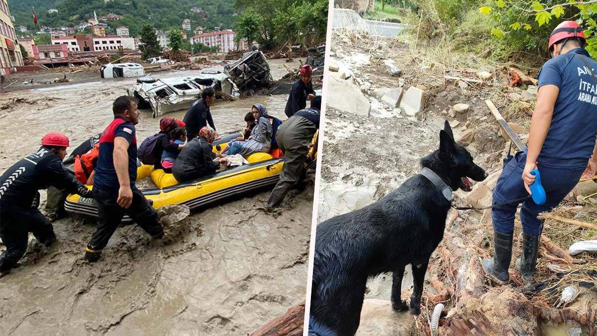 Ankara Kent Konseyi'nden Sünger Kent Stratejisi