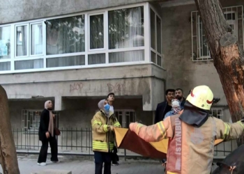 Ağaçtan inemeyen kediyi itfaiye kurtardı
