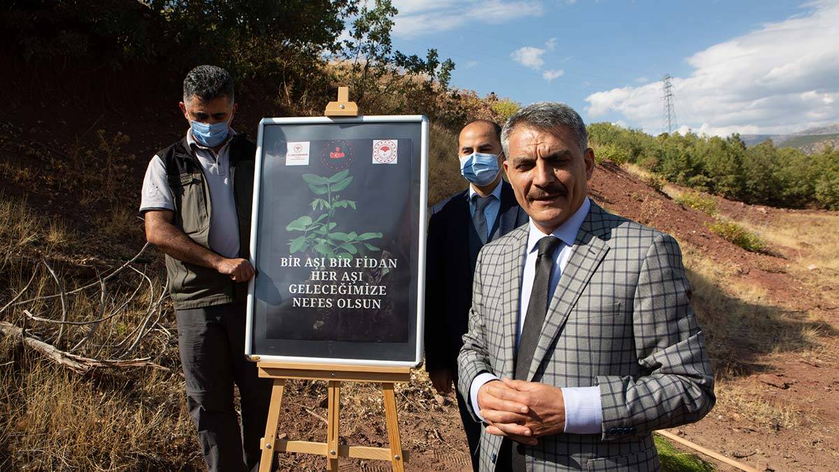 Aşı olanların adına fidan dikildi