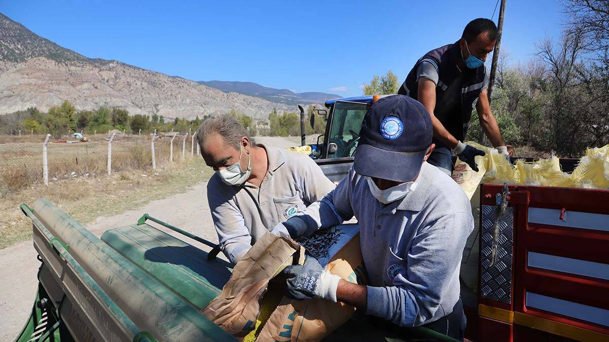 Ekipler, ilk olarak Sarıcakaya ilçesi Laçin Mahallesi’nde Büyükşehir Belediyesinin mülkiyetinde bulunan 70 bin metrekarelik tarlaya yonca ektiler.