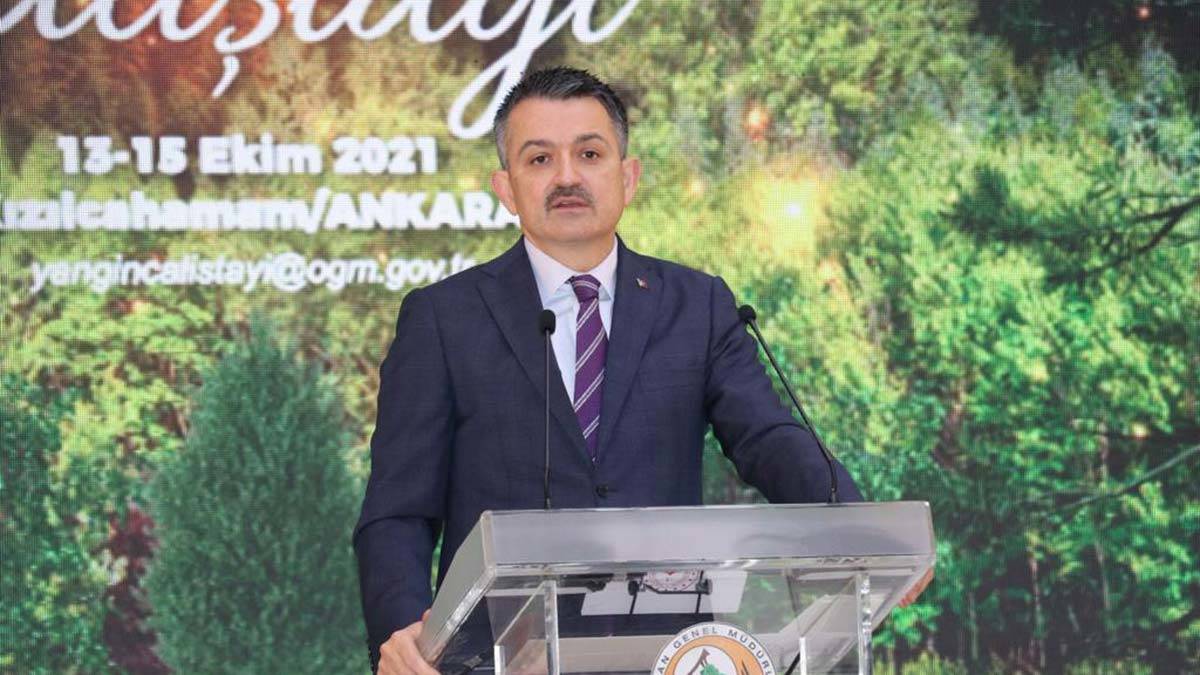 Bakan Pakdemirli: Yanan alanları ağaçlandıracağız